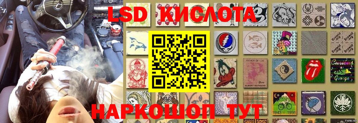 Наркотические марки 1,5мг  Наркотические марки 1,5мг  Чистополь  Вход с VPN 