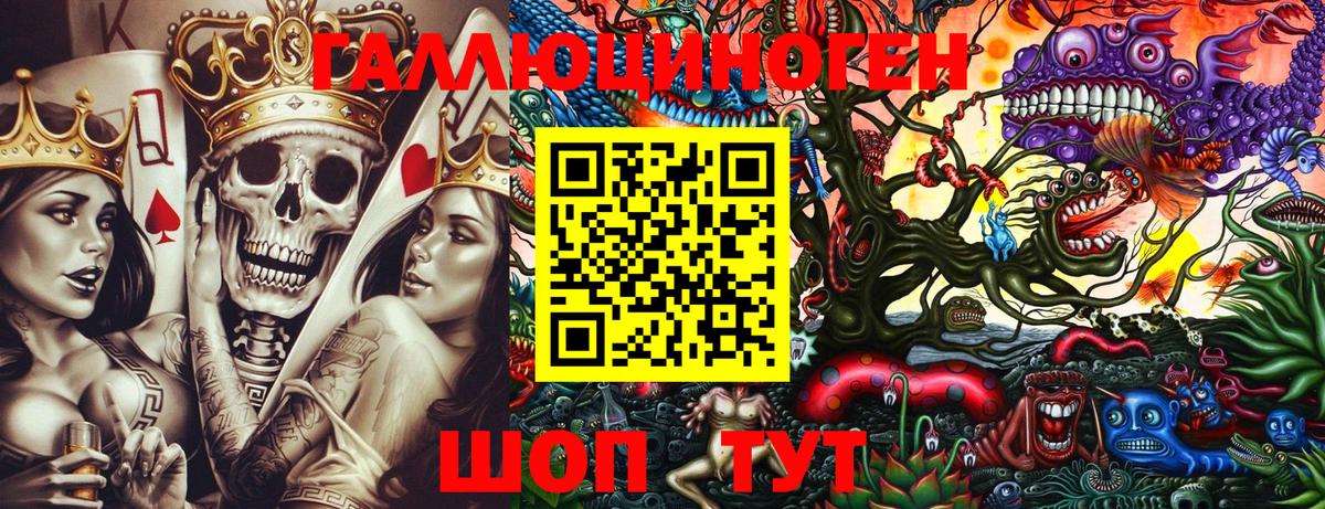 Чистополь  Галлюциногенные грибы Psilocybe  Вход с VPN 